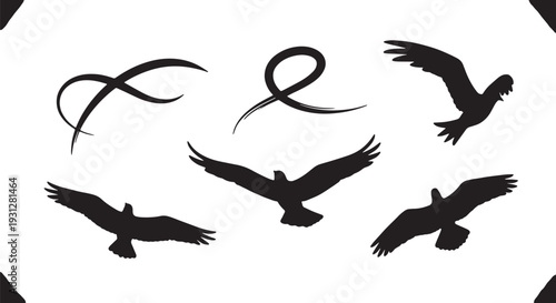 Black Solid Bird Flight Path Silhouettes Set of Six on White Background