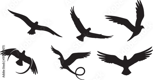 Black Solid Bird Flight Path Silhouettes Set of Six on White Background