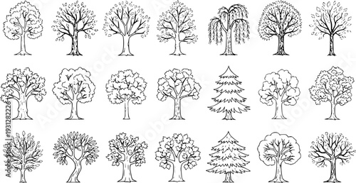 Set of 24 diverse hand-drawn tree illustrations. Black and white line art sketches featuring various tree types like deciduous, evergreen, and bare for nature and plant designs.