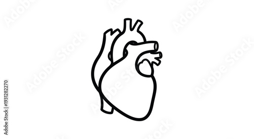 Simple line drawing of a human heart black and white silhouette
