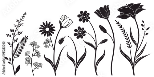 A delightful illustration of various flowers in a charming garden setting.