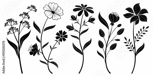 A beautiful illustration of various flowers and plants in black and white