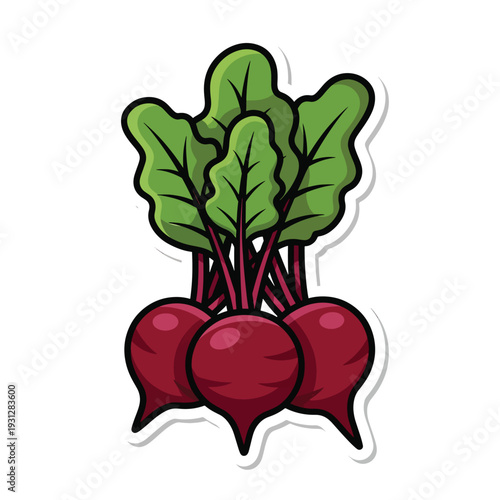 Beetroot illustration with green leaves and red roots in a graphic design