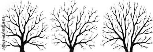 Set of black bare tree silhouettes with branches, winter deciduous plant elements for nature landscape design