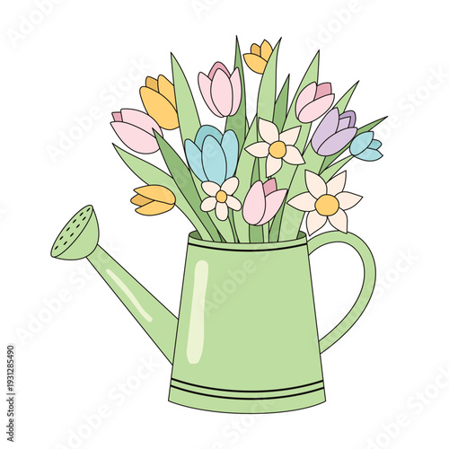 Green garden watering can filled with spring tulips and flowers