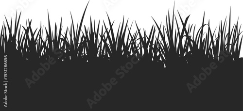 Black silhouette of long grass field horizon, meadow lawn plant elements for nature and landscape design