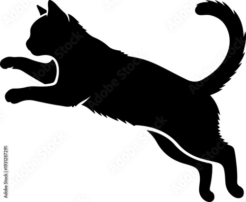 Cat silhouette vector illustration