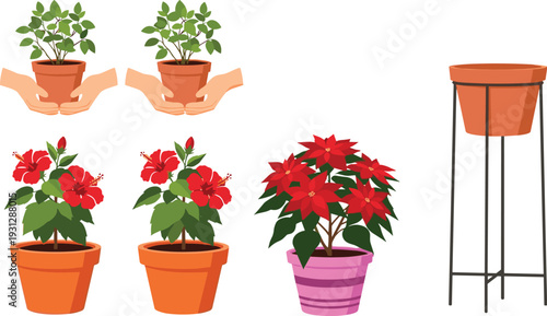 Potted houseplants collection with hibiscus poinsettia and indoor plant stand home gardening vector illustration set