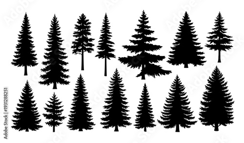 Wild Evergreen Tree Silhouette Vector Set – Pine Forest Woodland Templates