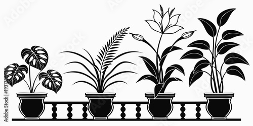 A variety of potted plants on a windowsill, showcasing different shapes and sizes.