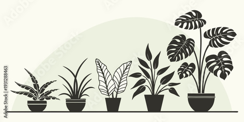 A variety of potted plants arranged in a row with different sizes and shapes.