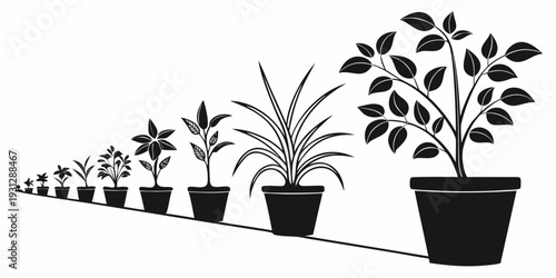 Illustration of a growing plant in pots from small to large.
