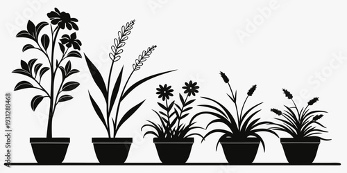 A collection of various potted plants with different shapes and sizes.
