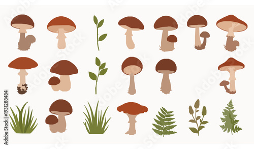 Forest mushrooms leaves and woodland plants vector collection in flat botanical cartoon style isolated on white background