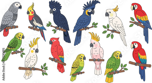 Detailed Tropical Parrot and Perched Bird Collection Featuring Macaws Cockatoos and Budgies for Educational and Nature Design