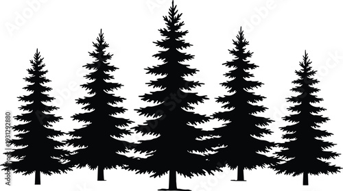 Black Pine Tree Silhouettes Collection Isolated on White Background for Forest Landscape Design Nature Outdoors Woodland Evergreen Conifer Fir Spruce Wood Cutout Vector Illustration