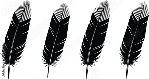 Set of black feather silhouettes isolated on white background, detailed bird plumage vector illustration collection for design and decoration
