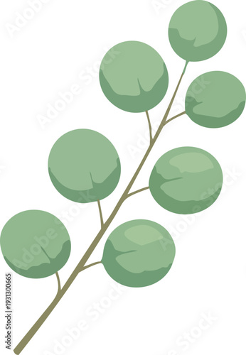 식물, 초록, 자연, 잎사귀, 신선함, 유기농, 나뭇잎, 네이처, 단풍, 나무, 가지, 봄, 신선, 성장, 새로운, 줄기, green, 여름, 식물학, 새싹, 새순