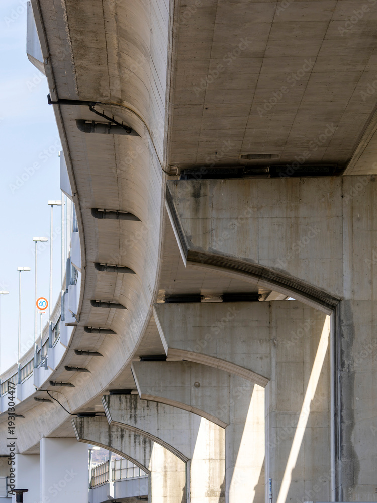Fototapeta premium 阪神高速道路の高架と橋脚