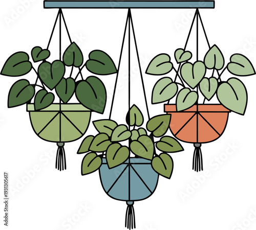 Three Hanging Potted Plants with Macrame Hangers Flat Vector Illustration
