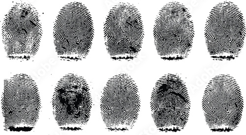A collection of fingerprints on a white background for identification purposes