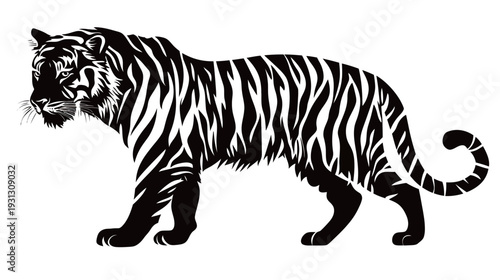 Striped Tiger Silhouette Walking Against White Background