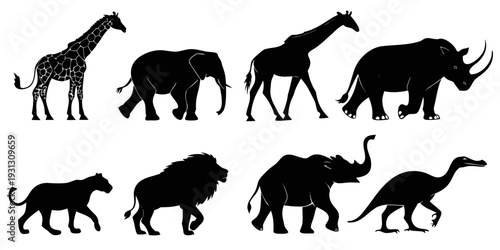 A diverse collection of animals showcasing various species and their unique silhouettes