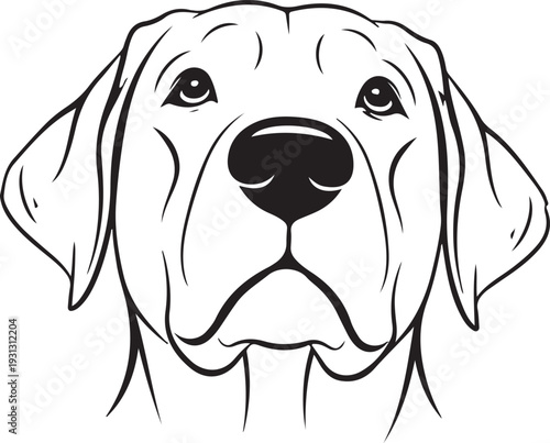 Vector of a dog head(Labrador Retriever) on white background, Pet.