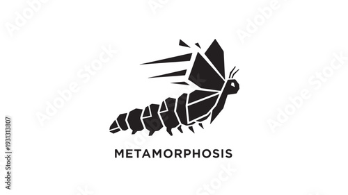 A stylized black and white geometric illustration of a butterfly emerging from a caterpillar, symbolizing transformation and growth, on a clean white background.