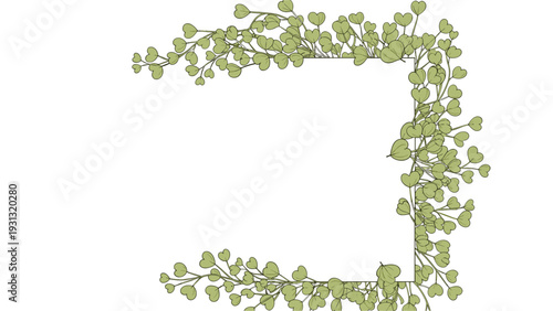 Rectangular frame partially bordered by delicate green heart-shaped leaves on thin branches over a clean white background.