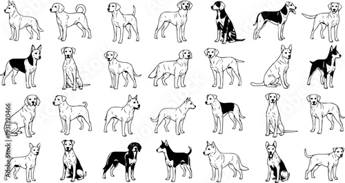 Diverse black and white line art illustration set of various dog breeds in different poses, showcasing a collection of pet animals, perfect for graphic design and canine themes.