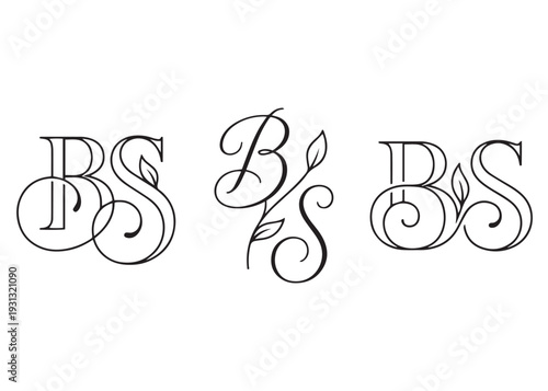 Intertwined bs monogram decorative ornate serif alphabet letter design