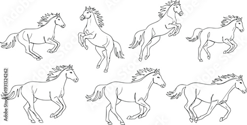 Running Horse Vector Set – Galloping and Rearing Equine Line Art Collection