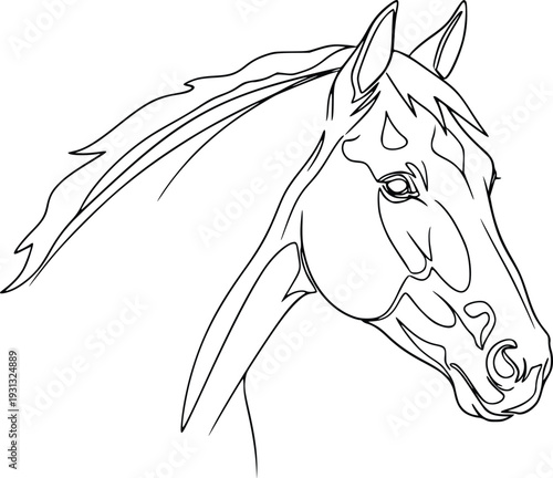 Horse Head Vector Line Art Illustration – Elegant Equine Outline Drawing