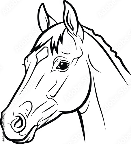 Horse Head Vector Logo – Bold Line Art Equine Portrait Illustration