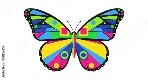 Colorful Butterfly with Open Wings.