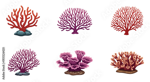 Colorful coral reef marine life models.