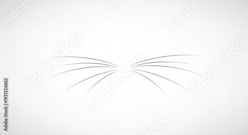 Gray abstract lines radiate outward on white background creating dynamic motion effect
