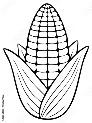 Isolated black and white drawing of a ripe ear of corn with green husks and kernels