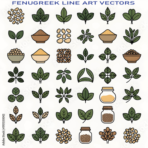 Fresh Fenugreek Leaves and Seeds Illustration Isolated on White Background