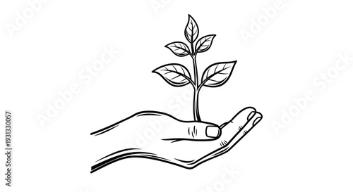 Hand holding a small green plant.