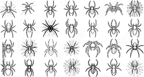 Creepy Crawlies: Set of 30 Line Art Spider Illustrations in Various Styles