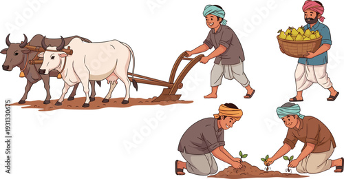 Traditional Indian Farmers Agricultural Character Set Featuring Plowing with Oxen, Planting Seedlings, and Carrying Harvested Fruit for Village Farming and Rural Life Designs