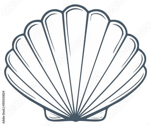 Stylized Line Art Scallop Shell Illustration