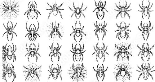 Spiders Vector Set: Diverse Black and White Spider Illustrations