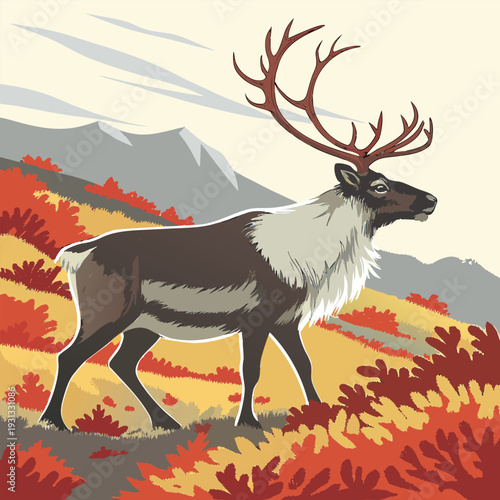 deer in autumn forest