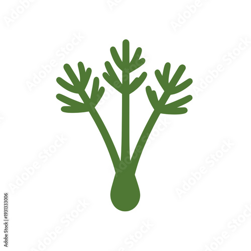 Fennel Plant Herb Vector Icon for Food and Beverage App UI