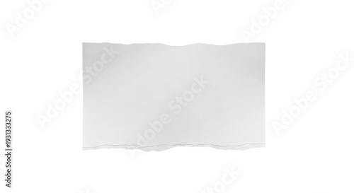 Wallpaper Mural Torn Paper Edge with Subtle Texture Torontodigital.ca