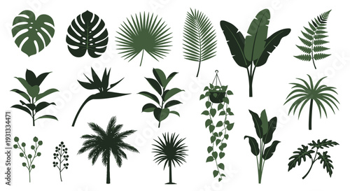 A collection of various tropical plants and exotic leaves in a flat illustration style.