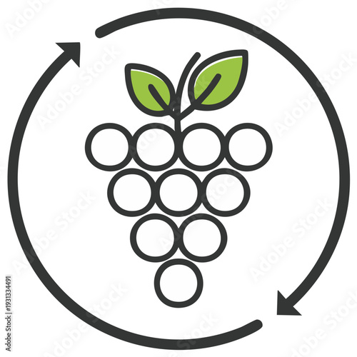 Grapes illustration with recycling arrow, eco-friendly agriculture concept, vine cultivation icon, grapevine harvest vector